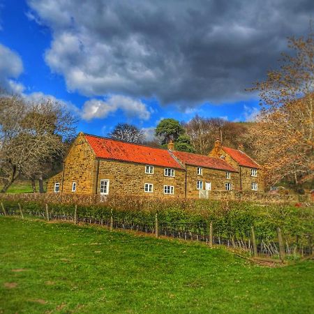 Park House Bed & Breakfast Ingleby Arncliffe Exterior foto